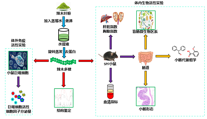 图片4.png