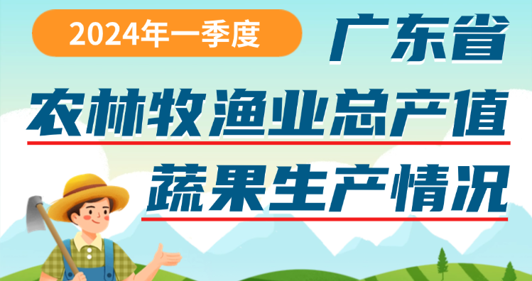 2024年一季度广东省农林牧渔业总产值蔬果生产情况