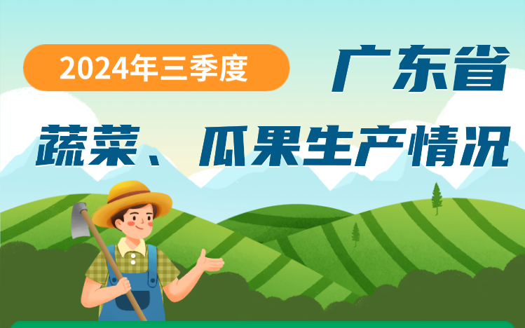 2024年三季度广东省蔬菜、瓜果生产情况