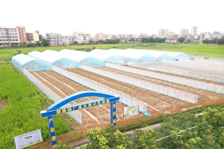 广晟示范农场基地建设项目