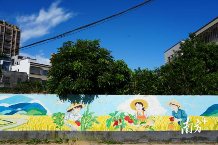 朴素的村墙变成了会“说话”的风景线，美化了人居环境。 