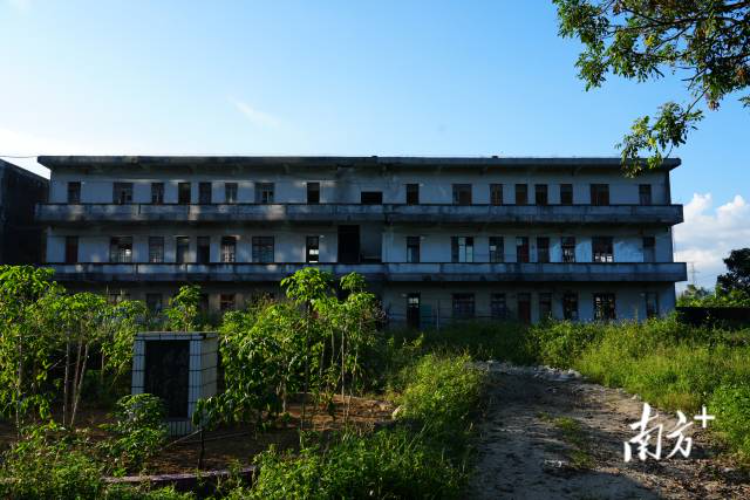斑驳的龙湾中学旧址期待新生。