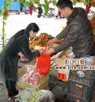 市民在选购火龙果。