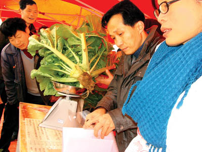 市首届梅菜文化节上，当地村民在比谁家种的梅菜又大又好。 记者范海波 摄