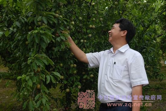 没有任何描述
