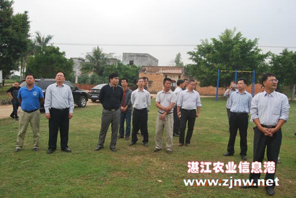 评审专家组考查遂溪县申报示范片主体村之双村村